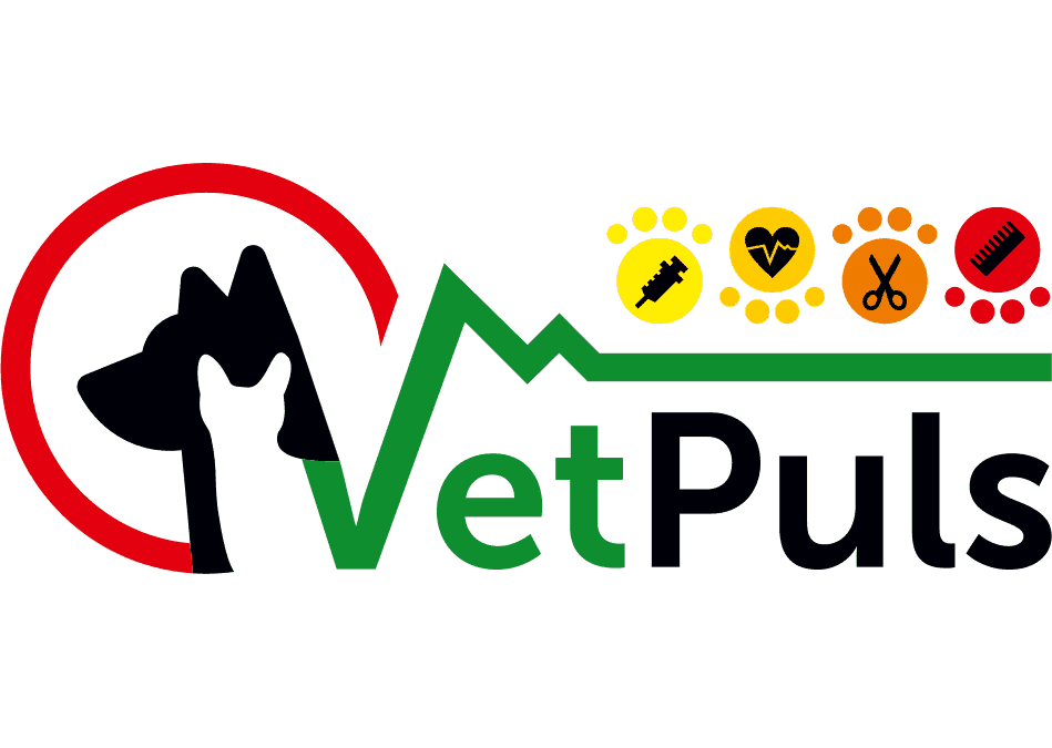 Vet Puls wspiera Olimpię Grudziądz!